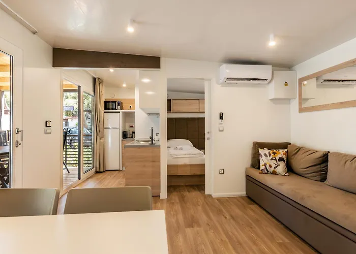 Mobile Homes & Ljutic