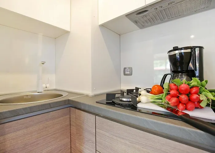 Mobile Homes & Ljutic Vakantiepark 3*